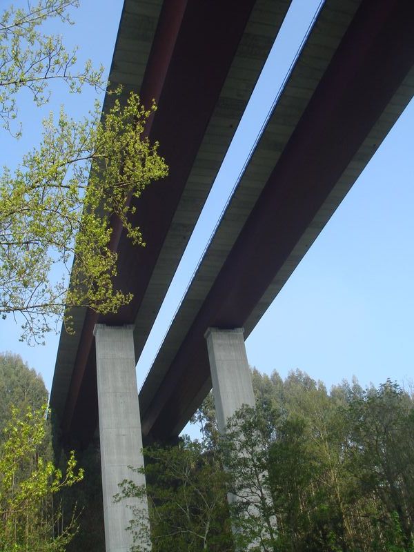570