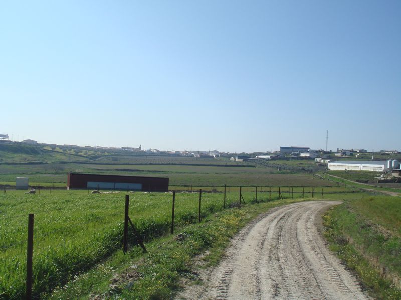 DSC06934