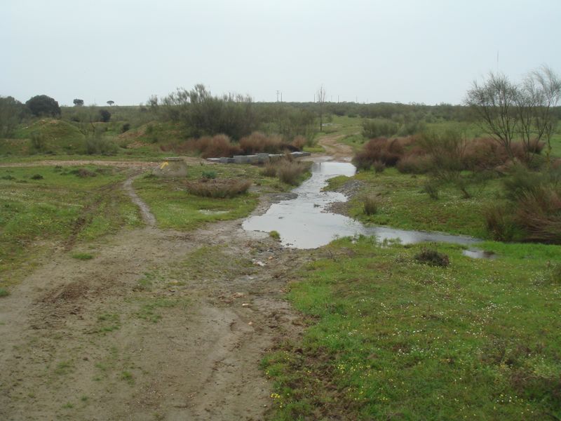 DSC07017