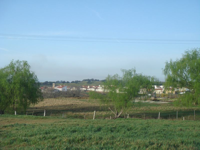 DSC07125