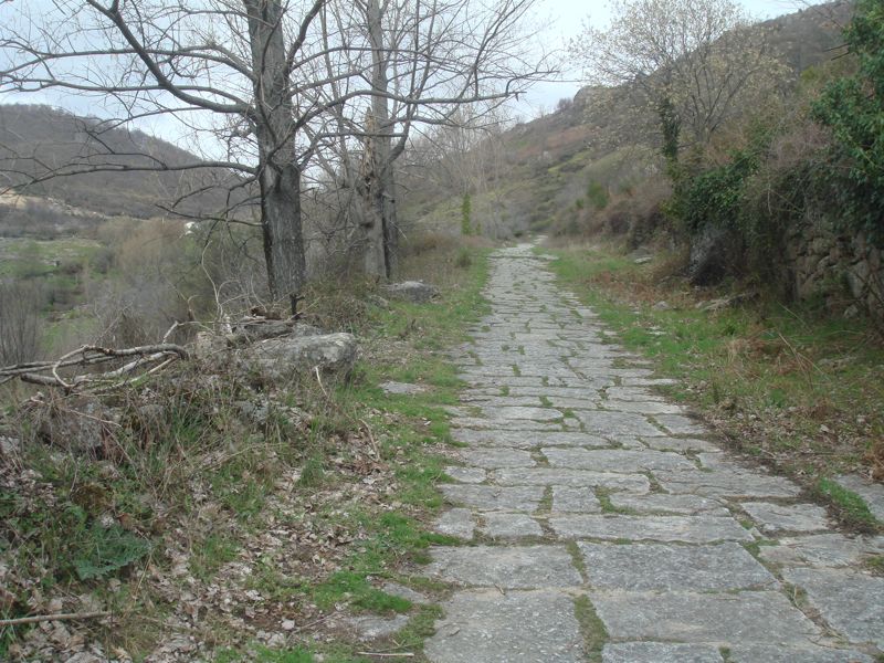 DSC07168