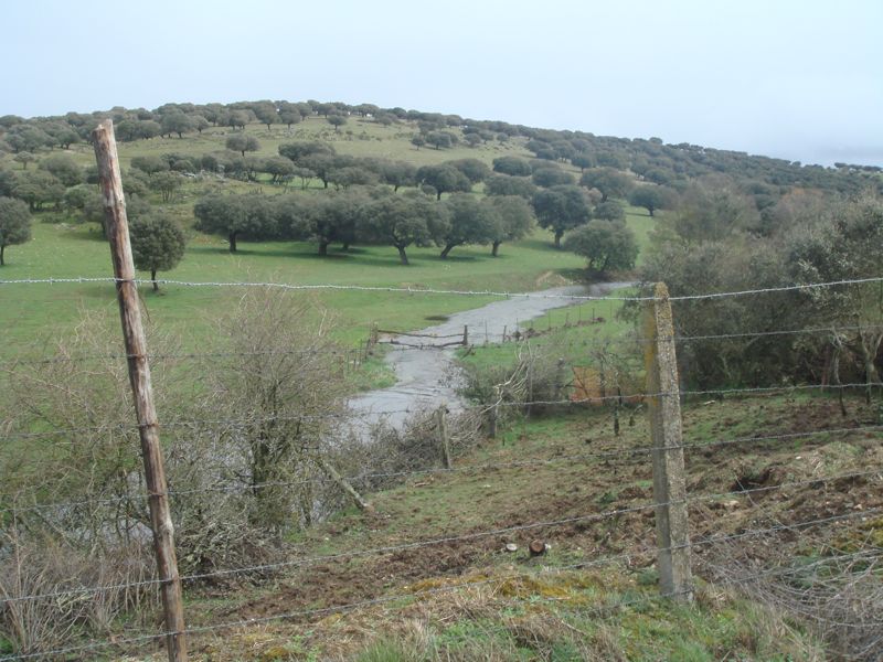 DSC07199
