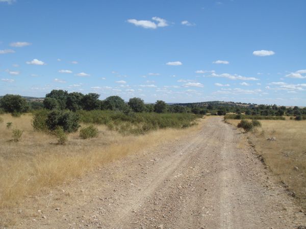 DSC07725