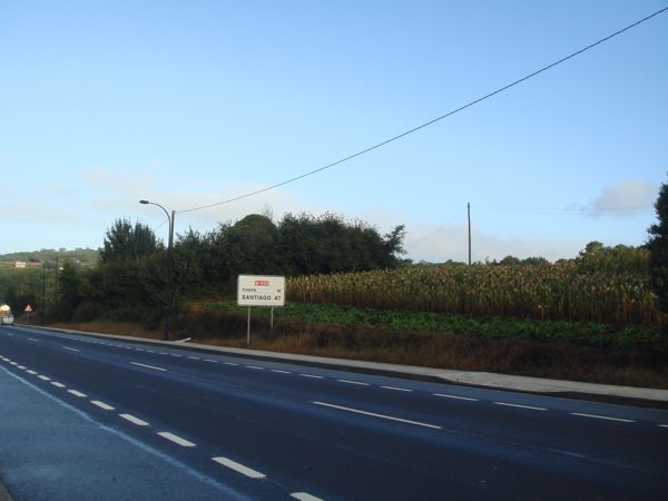 DSC07907