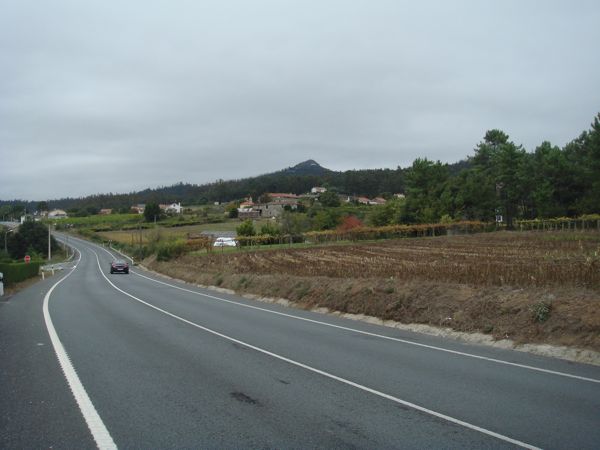 DSC07931