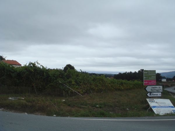 DSC07933